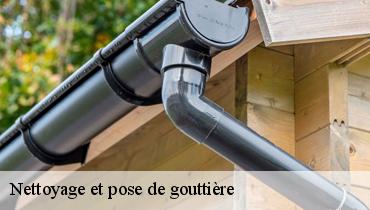 Nettoyage et pose de gouttière  93600