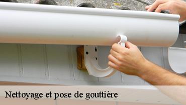 Nettoyage et pose de gouttière  93450