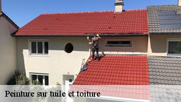 Peinture sur tuile et toiture  93000