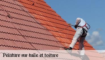 Peinture sur tuile et toiture  93000