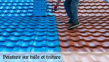 Peinture sur tuile et toiture  93460