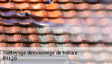 Nettoyage demoussage de toiture  93120