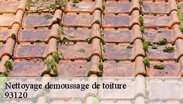 Nettoyage demoussage de toiture  93120