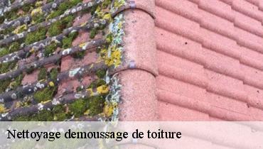 Nettoyage demoussage de toiture  93450