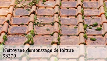 Nettoyage demoussage de toiture  93270